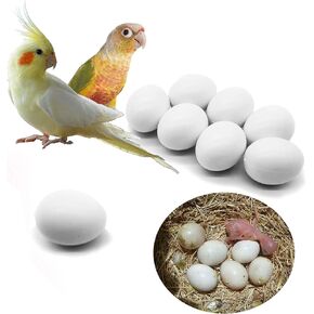 8 Pcs Solid Parrot Plastic Eggs Hatching Eggs Green Cheek, Lorikeet&Ringneck Dove, Quaker, Cockatiel. Trick The Birds to Stop Laying Eggs, Plastic Eggs
