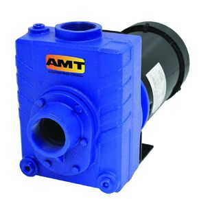 AMT Pump 2761-95 Self-Priming Centrifugal Pump, Cast Iron, 2 HP, 1 Phase, 115/230V, Curve B, 2" NPT Female Suction & Discharge Ports