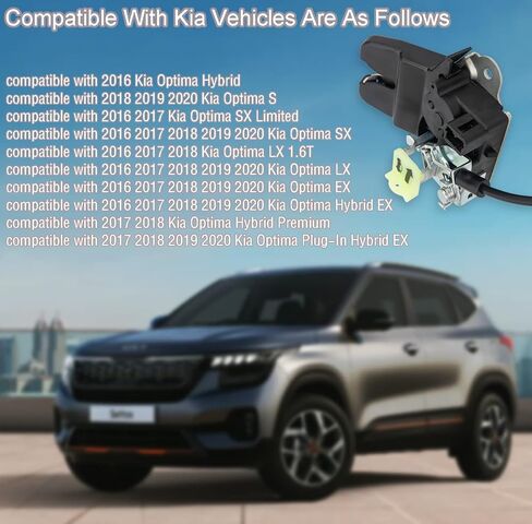 مزلاج صندوق السيارة 81230-D4000 متوافق مع KIA Optima 2016 2017 2018 2019 2020 LX EX 1.6 2.0 2.4L مشغل قفل مزلاج الباب الخلفي بديل لكيا 81230D4000 in Kuwait