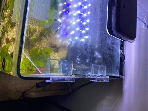 6 قطعة لون واضح الاكريليك حوض للأسماك غطاء زجاجي كليب حامل الدعم ، 6 مللي متر in Kuwait