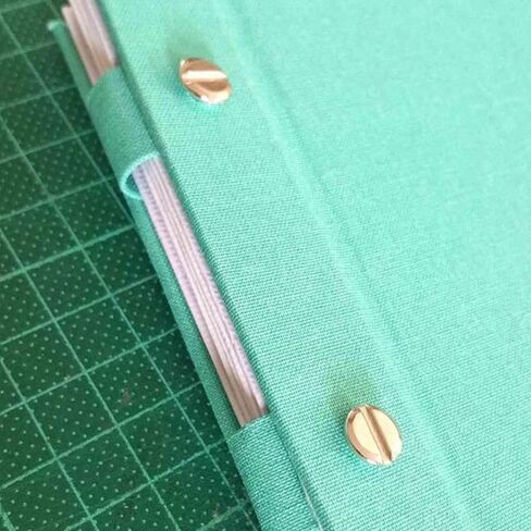 Performore 100 Pack of Chicago Screw Post Binding Screws, 25mm Brass Plated Metal Screw Posts for Scrapbooking, Photo Albums, Binding Leather Repair in Saudi Arabia