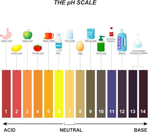 4 Pack pH Test Strips Universal pH 1-14 Test Paper Litmus Test Paper 320 Strips for Saliva Urine Water Soil and Chemistry Experiments in Kuwait