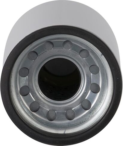 PG Diesel Fuel Filter DF30196 | يناسب 2018-2021 International LT625 ، 2010-2019 Prostar ، 2010-2017 Freightliner Cascadia ، 2010-2017 Kenworth T800 ، 2013-2017 T680 ، 2018-2021 T880 in Saudi Arabia