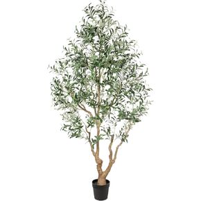 شجرة الزيتون المزيفة 7 أقدام - أشجار الزيتون الطويلة الداخلية مصطنعة مع جذع طبيعي وفواكه نابض بالحياة ، وزيادة زيتون كبيرة محفوظة بوعاء لزخارف غرفة المعيشة المكتبية المنزلية in Kuwait