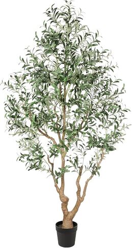 شجرة الزيتون المزيفة 7 أقدام - أشجار الزيتون الطويلة الداخلية مصطنعة مع جذع طبيعي وفواكه نابض بالحياة ، وزيادة زيتون كبيرة محفوظة بوعاء لزخارف غرفة المعيشة المكتبية المنزلية in Kuwait