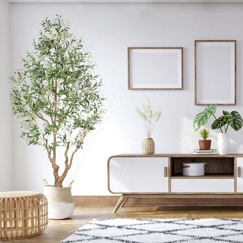 شجرة الزيتون المزيفة 7 أقدام - أشجار الزيتون الطويلة الداخلية مصطنعة مع جذع طبيعي وفواكه نابض بالحياة ، وزيادة زيتون كبيرة محفوظة بوعاء لزخارف غرفة المعيشة المكتبية المنزلية in Kuwait