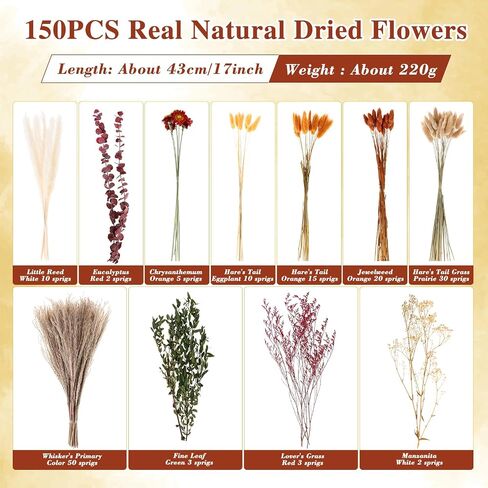 101 PCS أسود بامباس ديكور عشب 15 نوعًا من الزهور المجففة الطبيعية مزيج باقة 17 "باقة زهرة الهالوين لحفل الزفاف القوطي هالوين مكتب مزرعة ديكور بوهو ترتيبات الأزهار in Saudi Arabia