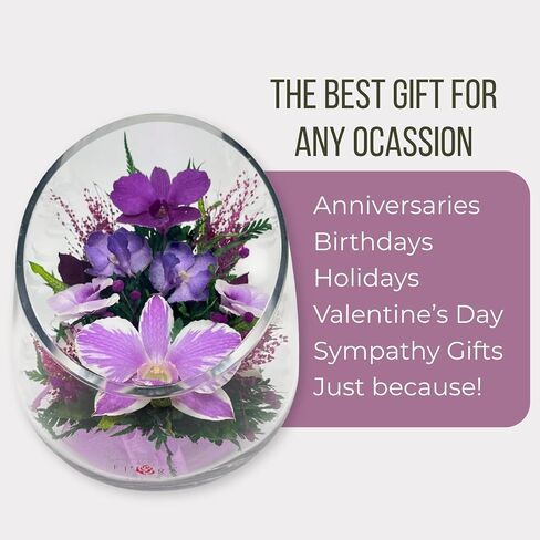 Fiora Flower | بساتين الفاكهة طويلة الأمد | يدوم ما يصل إلى 5 سنوات | لا حاجة ماء | الحساسية الحرة | مقاومة الرائحة | هدية حالية فريدة in Saudi Arabia