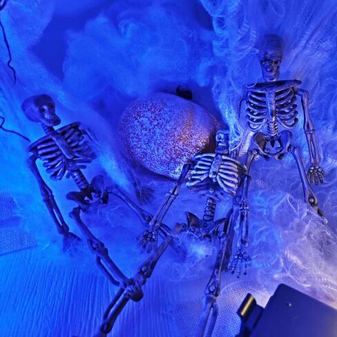 10 Pcs Halloween Mini Skeleton Figurine Decoration,6"Halloween posable Skeleton Decor,Small Plastic Skeleton Figure for Halloween Spooky Home Decor Haunted House Decorations Party Favors in Kuwait