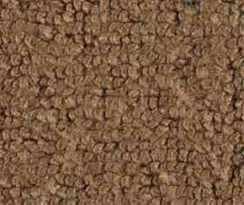 ACC Automotive Carpet Compatible with 1968 to 1972 Chevrolet El Camino, Automatic (501-Black 80/20 Loop) in Kuwait