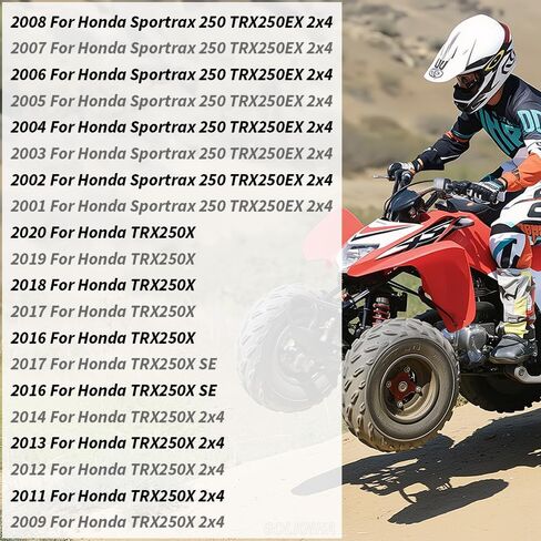 84 PCS 304 Stainless Bolt Screw Engine Polished Kit Honda Sportrax 250 TRX250 2001-2020 in Saudi Arabia