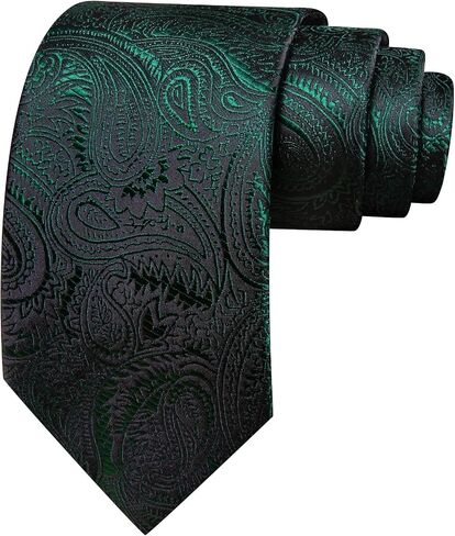 Barry.Wang Paisley Tie for Men Silk Woven Necktie and Tie Clip Set Wedding Party Business Formal in Saudi Arabia