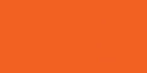 Carolina HAV, A, Hank Solid Bandanna, 22-Inch by 22-Inch, Orange in Saudi Arabia