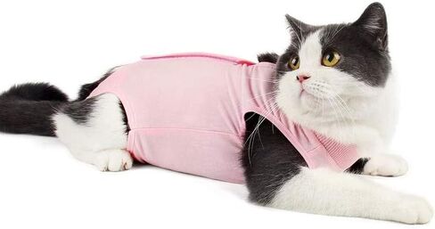 Cat Recovery Suit for Abdominal Wounds or Skin Diseases, Breathable Cat Surgery Recovery Suit E-Collar Alternative for Cats, After Surgery Wear Surgical Suit for Cats Anti Licking Wounds in Kuwait
