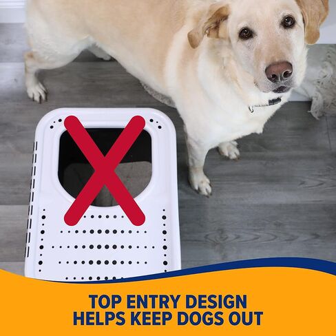Arm & Hammer Premium Top Entry Litter Box with Filter to Clean Paws and Microban, Made in USA in Saudi Arabia