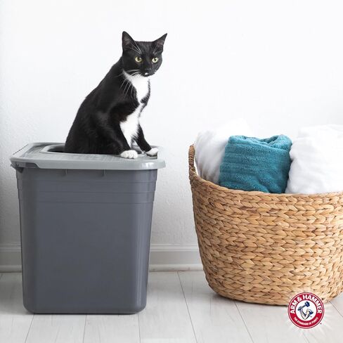 Arm & Hammer Premium Top Entry Litter Box with Filter to Clean Paws and Microban, Made in USA in Saudi Arabia