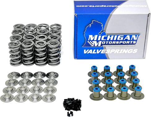 Michigan Motorsports Stage 4 LS3 Cam Cam for Rectangle Port LS 6.0 6.2 LS3 L99 L92 L96 LY6 KIT (عمود الحدبات ، مجموعة الربيع ، pushrods) in Saudi Arabia