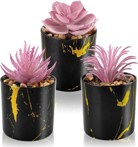 DER ROSE 3 PACK PACK PHOPELANTS PLANTS LAGRANTS PLATSENTSTION in Kuwait