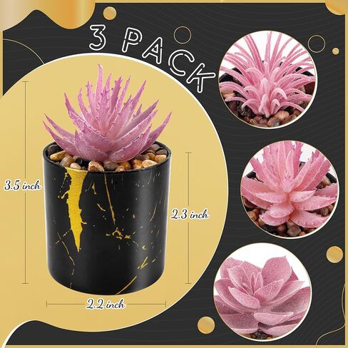 DER ROSE 3 PACK PACK PHOPELANTS PLANTS LAGRANTS PLATSENTSTION in Kuwait