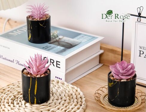 DER ROSE 3 PACK PACK PHOPELANTS PLANTS LAGRANTS PLATSENTSTION in Kuwait