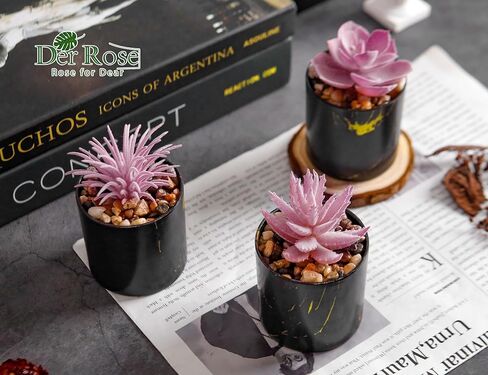 DER ROSE 3 PACK PACK PHOPELANTS PLANTS LAGRANTS PLATSENTSTION in Kuwait