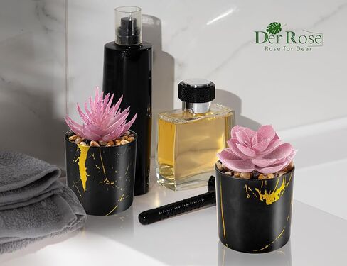 DER ROSE 3 PACK PACK PHOPELANTS PLANTS LAGRANTS PLATSENTSTION in Kuwait