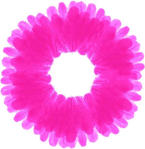 800 قطعة من ريش الديك الأبيض مقاس 3-5 بوصة من الريش السائب لصناعة الحرف اليدوية لرياض الأطفال وحفلات الزفاف وديكورات الحفلات العائلية ومستلزمات صائد الأحلام والريش الطبيعي in Kuwait