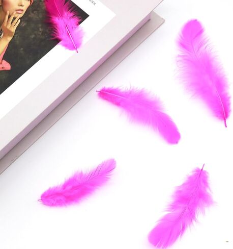 800 قطعة من ريش الديك الأبيض مقاس 3-5 بوصة من الريش السائب لصناعة الحرف اليدوية لرياض الأطفال وحفلات الزفاف وديكورات الحفلات العائلية ومستلزمات صائد الأحلام والريش الطبيعي in Kuwait