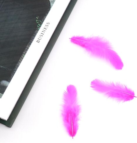 800 قطعة من ريش الديك الأبيض مقاس 3-5 بوصة من الريش السائب لصناعة الحرف اليدوية لرياض الأطفال وحفلات الزفاف وديكورات الحفلات العائلية ومستلزمات صائد الأحلام والريش الطبيعي in Kuwait