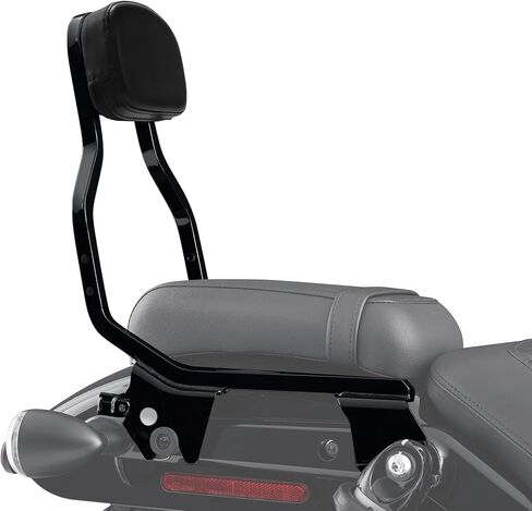 TCT-MOTORPARTS مسند ظهر الركاب سيسي بار طقم الإرساء مناسب لـ Harley Nightster RH975 2022-2025 Nightster Special RH975S 2023-2025 in Saudi Arabia