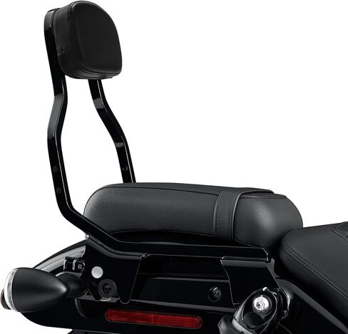 TCT-MOTORPARTS مسند ظهر الركاب سيسي بار طقم الإرساء مناسب لـ Harley Nightster RH975 2022-2025 Nightster Special RH975S 2023-2025 in Saudi Arabia
