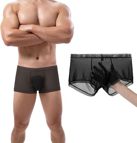 Men's Sexy Underwear Ice Silk Sheer Boxer Briefs See Through Mesh Ultra Thin Transparent Trunk in Saudi Arabia
