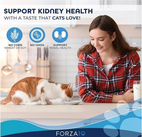 Forza10 Wet Renal Cat Food, Kidney Care Cat Food with Lamb, 3.5 Ounce Can Kidney Support for Cats Wet Food and Renal Health Canned Cat Food, 32 Pack Wet Cat Food in Kuwait