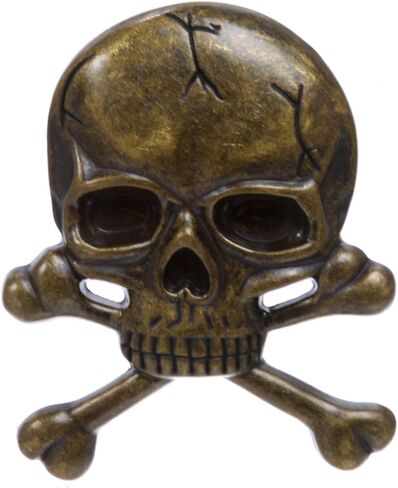 Skull and Cross Bone Pirate Belt Buckle in Saudi Arabia
