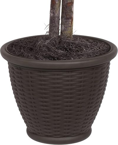 Vickerman 4' Artificial Frosted Maple Extra Full Bush, Brown Plastic Container. in Saudi Arabia