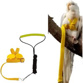 Pet Parrot Bird Harness Leash Adjustable Bird Flying Harness Traction Rope with Cute Wing for Parrots Pigeons Budgerigar Lovebird Cockatiel Mynah Outdoor Training Toy (S, Purple)