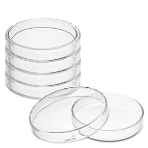 150mm Glass Petri Dishes with Lids High Borosilicate Glass Tissue Culture Plate 5 Pcs