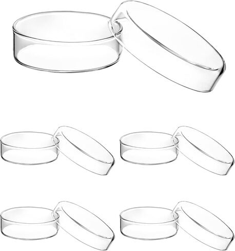 QWORK Glass Petri Dish Petri Plates with Lid, Thicken, 60mm x 18mm, 10 Pack in Saudi Arabia