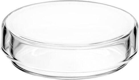 QWORK Glass Petri Dish Petri Plates with Lid, Thicken, 60mm x 18mm, 10 Pack in Saudi Arabia