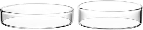 QWORK Glass Petri Dish Petri Plates with Lid, Thicken, 60mm x 18mm, 10 Pack in Saudi Arabia