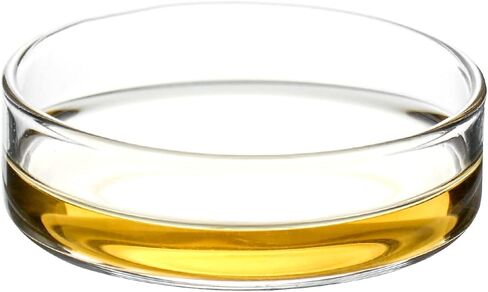 QWORK Glass Petri Dish Petri Plates with Lid, Thicken, 60mm x 18mm, 10 Pack in Saudi Arabia