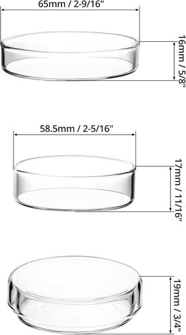 QWORK Glass Petri Dish Petri Plates with Lid, Thicken, 60mm x 18mm, 10 Pack in Saudi Arabia