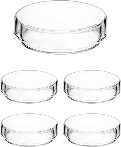 QWORK Glass Petri Dish Petri Plates with Lid, Thicken, 60mm x 18mm, 10 Pack in Saudi Arabia