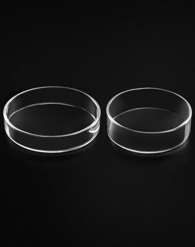 QWORK Glass Petri Dish Petri Plates with Lid, Thicken, 60mm x 18mm, 10 Pack in Saudi Arabia