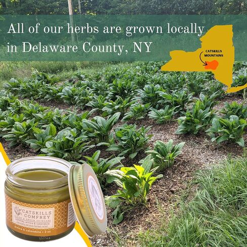Catskills Comfrey, Arnica & Calendula (2oz) — 3 in 1 Comfrey Salve for Bone Healing Organic — Comfrey Oil Cream, Only 4 Natural Ingredients — Home-Grown & Home-Made, Multi-use Natural Skincare in Saudi Arabia