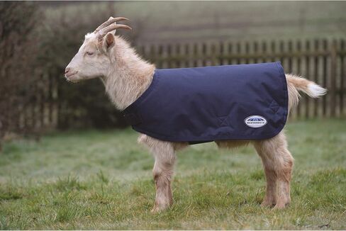 WeatherBeeta Goat Coat, Grey, Medium in Saudi Arabia