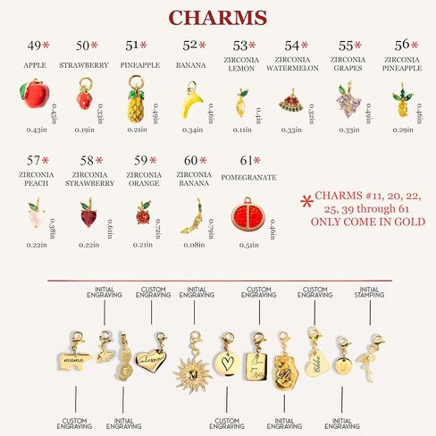 MignonandMignon Add-on Charms, Initial, Zodiac, Birthstone, Heart, Moon, Sun, Stainless Steel Charms for Bracelets, Birthday Gifts for Her – Add-on-charms in Saudi Arabia