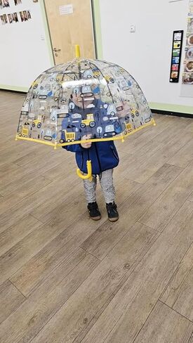 Clear Bubble Umbrella - Transparent Dome Canopy See Through for Walking Safety - Safe with Pinch - Windproof Closure - Easy-Grip Hook Handle- Auto Open- Lightweight Umbrella in Saudi Arabia