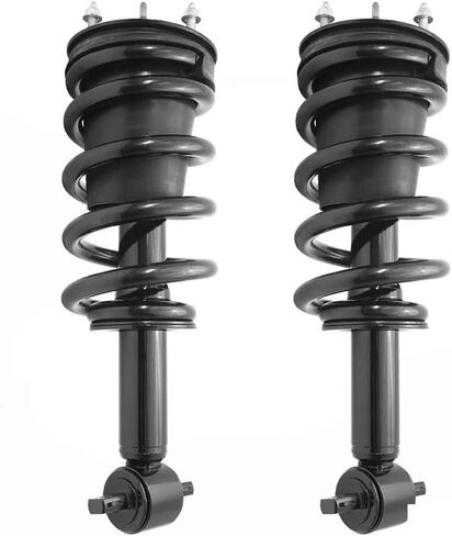 COMPLETESTRUTS Front Quick Complete Strut Assemblies with Coil Springs Replacement for 2014-2019 Chevrolet Silverado 1500 4WD - Set of 2 in Saudi Arabia