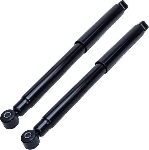 Detroit Axle - Rear 2pc Shock Absorbers for 2002-2008 Dodge Ram 1500, 2 Complete Shock Absorbers Assembly Set 2003 2004 2005 2006 2007 Replacement in Saudi Arabia